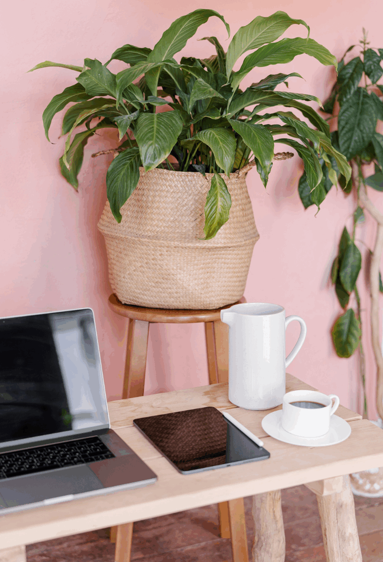 11 Digital Product Ideas That Actually Sell (I’ve Tried Almost All Of Them!)